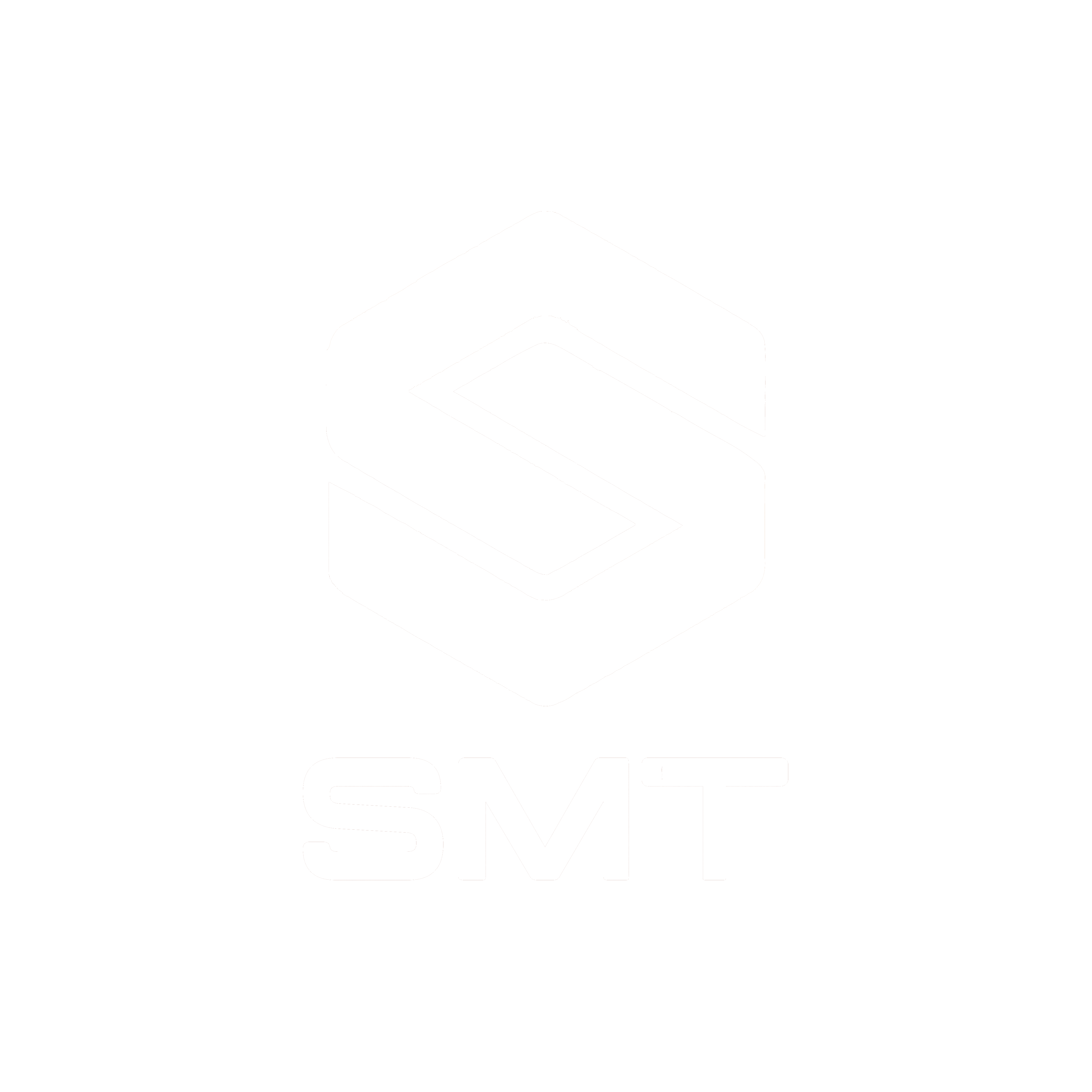 SMT Group